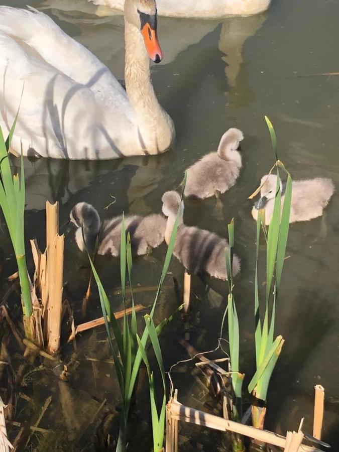 Selska Chalupa Anetka Horšovský Týn Exterior foto